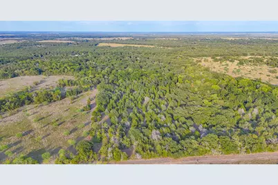 Tbd 13.112 Ac SE Cr 4240, Kerens, TX 75144 - Photo 24