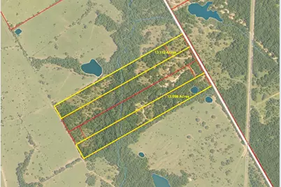 Tbd 13.112 Ac SE Cr 4240, Kerens, TX 75144 - Photo 4