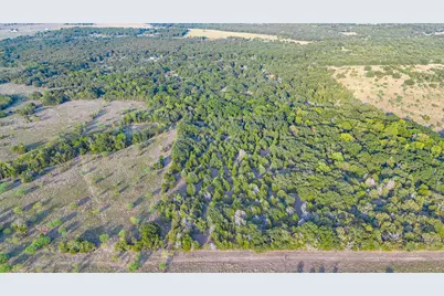 Tbd 13.112 Ac SE Cr 4240, Kerens, TX 75144 - Photo 20
