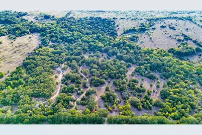 Tbd 13.112 Ac SE Cr 4240, Kerens, TX 75144 - Photo 14