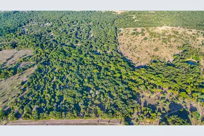 Tbd 13.098 Ac SE Cr 4240, Kerens, TX 75144 - Photo 6