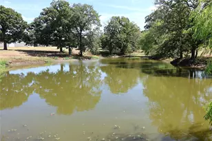 1111 Riley Rd, Whitesboro, TX 76273 - Photo 28