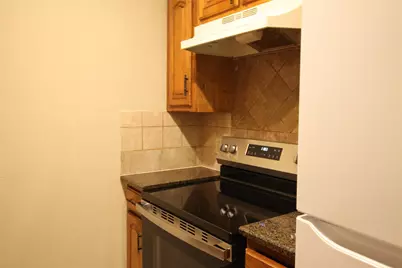 217 Matt Place, Grand Prairie, TX 75051 - Photo 10