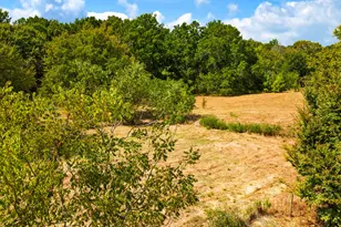 148 County Rd 35950, Arthur City, TX 75411 - Photo 24