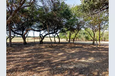 2768 Live Oak Road, Santo, TX 76472 - Photo 8