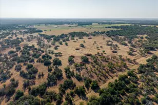 2768 Live Oak Rd, Santo, TX 76472 - Photo 1