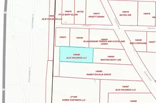0 41 Acres W Morton St, Denison, TX 75021 - Photo 1