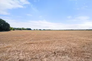 14181 Fm 639, Barry, TX 75102 - Photo 30