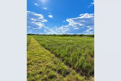 441 County Rd 2418, Hillsboro, TX 76645 - Photo 4