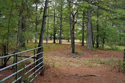 448 County Road 3955, Mineola, TX 75773 - Photo 34