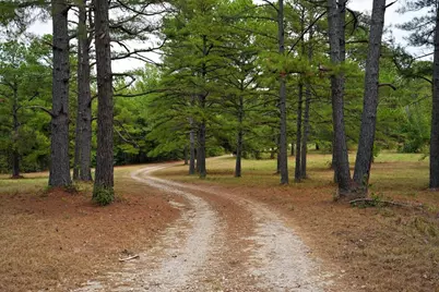448 County Road 3955, Mineola, TX 75773 - Photo 26