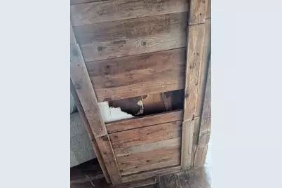 [Address not provided], Celeste, TX 75423 - Photo 8