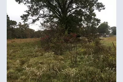 Rains County Rd #3150, Emory, TX 75440 - Photo 6