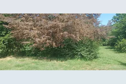 608 S Baugh Street, Alvarado, TX 76009 - Photo 2