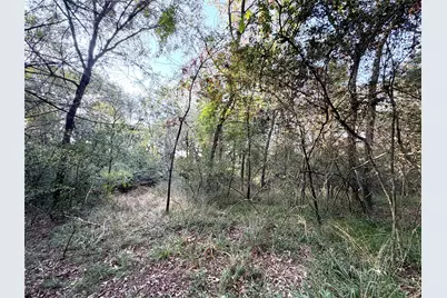 Tbd Lcr 894, Groesbeck, TX 76642 - Photo 4