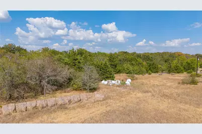 15 Acres County Road 4605, Commerce, TX 75428 - Photo 10