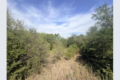 Tbd Cr 3824, Wills Point, TX 75160 - Photo 1