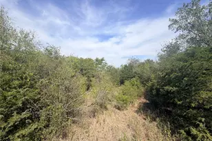 Tbd Cr 3824, Wills Point, TX 75160 - Photo 1