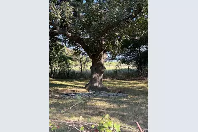3500 Cr 3230, Hubbard, TX 76648 - Photo 40