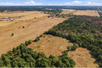 Ybd Farm Road 273, Ivanhoe, TX 75447 - Photo 8