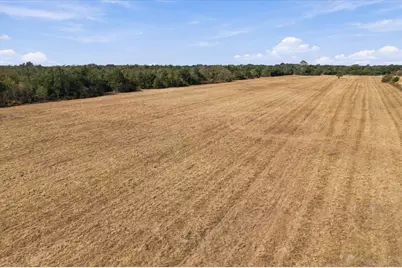 Ybd Farm Road 273, Ivanhoe, TX 75447 - Photo 12