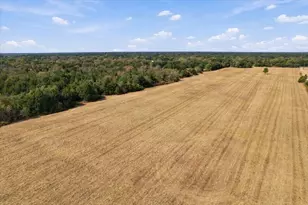 Ybd Farm Road 273, Ivanhoe, TX 75447 - Photo 1