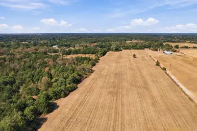 Ybd Farm Road 273, Ivanhoe, TX 75447 - Photo 2