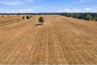 Ybd Farm Road 273, Ivanhoe, TX 75447 - Photo 10