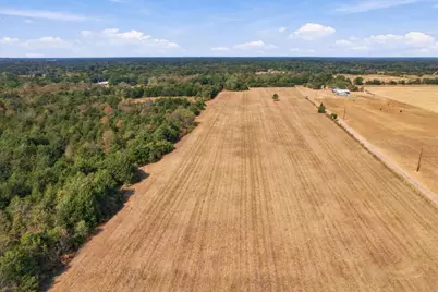 Ybd Farm Road 273, Ivanhoe, TX 75447 - Photo 20