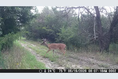 1885 NW Cr 2162, Barry, TX 75102 - Photo 22