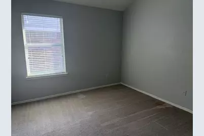 1621 Black Maple Drive, Anna, TX 75409 - Photo 10