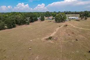 2162 Blackburn Rd, Diana, TX 75640 - Photo 26