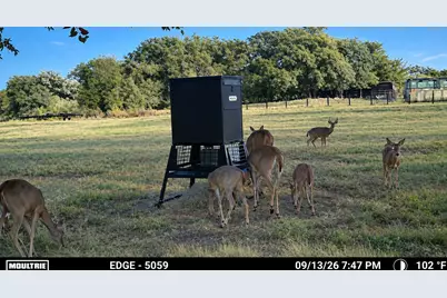 2800 Fm 1395, Edgewood, TX 75169 - Photo 38