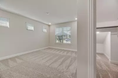 1050 Birdie Street, Gunter, TX 75058 - Photo 28