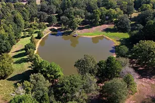 1135 Co Rd 2332, Mineola, TX 75773 - Photo 38