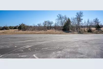 Lot 20 Lago Vista Drive, East Tawakoni, TX 75472 - Photo 8