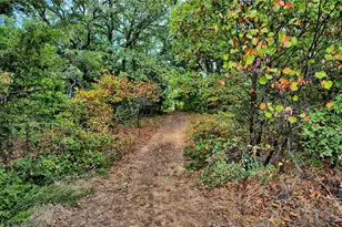 7111 Starkey Rd, Saint Jo, TX 76265 - Photo 2