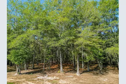373 County Road 3832, Hawkins, TX 75765 - Photo 30