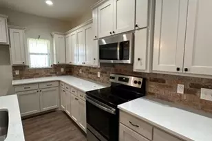 519 Big Sky Loop, Buffalo Gap, TX 79508 - Photo 4