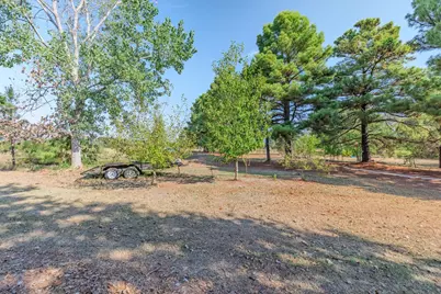 7161 County Road 3223, Lone Oak, TX 75453 - Photo 36