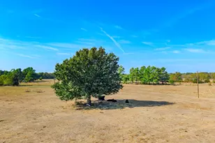 7161 Co Rd 3223, Lone Oak, TX 75453 - Photo 2