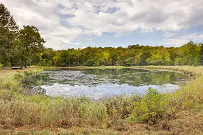 1522A Fm 17, Grand Saline, TX 75140 - Photo 4