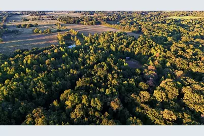 0000 County Road 4930, Quitman, TX 75783 - Photo 8