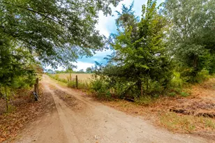 1262 Fm 1647, Winnsboro, TX 75494 - Photo 4