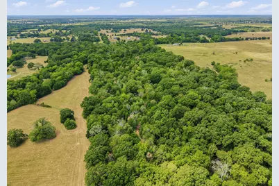 Tbd County Road 1153, Cumby, TX 75433 - Photo 8