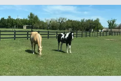 4536 County Road 132, Stephenville, TX 76401 - Photo 30