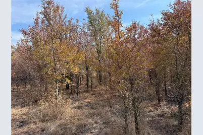 467 County Road 2371, Meridian, TX 76665 - Photo 18