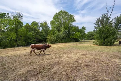 7003 E Bankhead Highway, Willow Park, TX 76008 - Photo 4