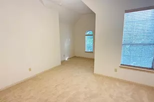14006 Stevens Point Dr, Frisco, TX 75033 - Photo 30