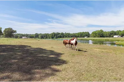 23888 County Road 2110, Troup, TX 75789 - Photo 36
